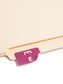 AlphaZ® ACCS Color Coded Alphabetic Labels - Sheets, Purple Color, 1" X 1-5/8" Size, Set of 100, 086486671750