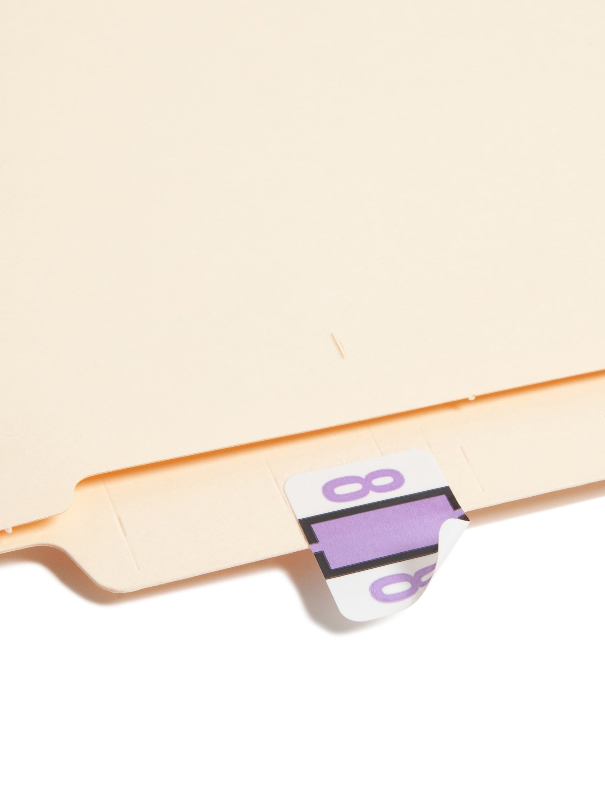 BCCRN Bar Style Color-Coded Numeric Labels, 0-9 Rolls, Lavender Color, 1-1/4" X 1" Size, Set of 50, 086486673785