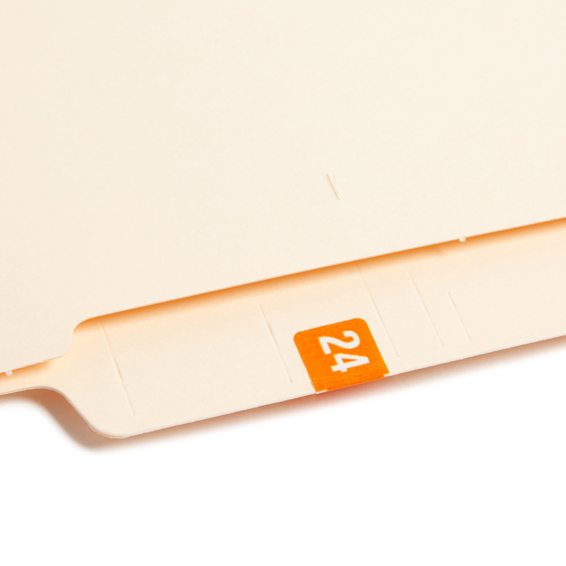 ETS Color-Coded Year Labels - Sheets, Orange Color, 1" X 1/2" Size, Set of 250, 086486679244