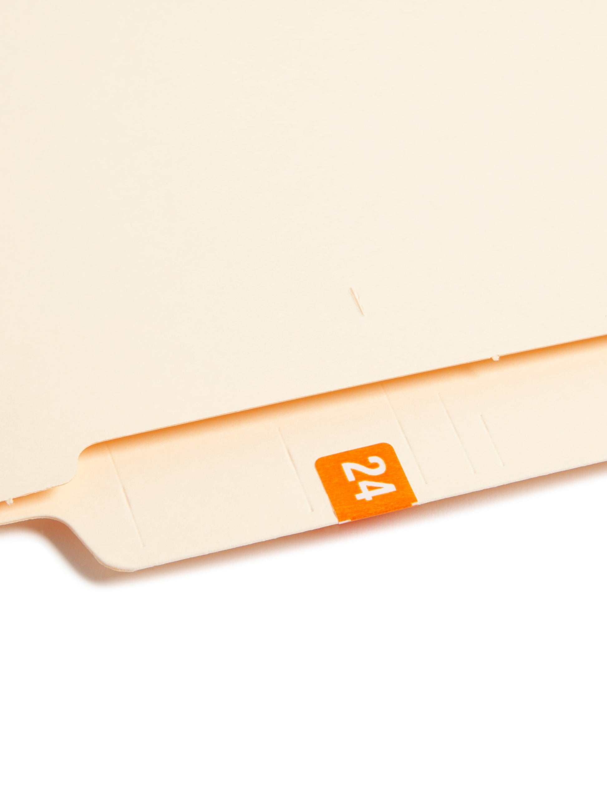 ETS Color-Coded Year Labels - Sheets, Orange Color, 1" X 1/2" Size, Set of 250, 086486679244