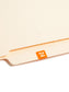 ETS Color-Coded Year Labels - Sheets, Orange Color, 1" X 1/2" Size, Set of 1, 086486679244