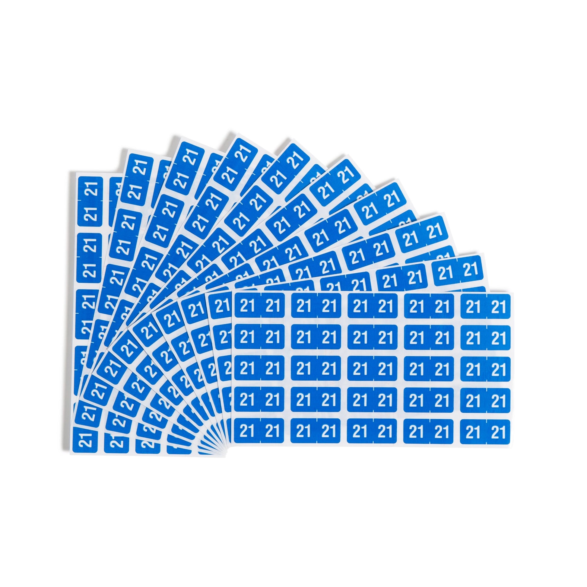 ETS Color-Coded Year Labels - Sheets, Light Blue Color, 1" X 1/2" Size, Set of 250, 086486679213
