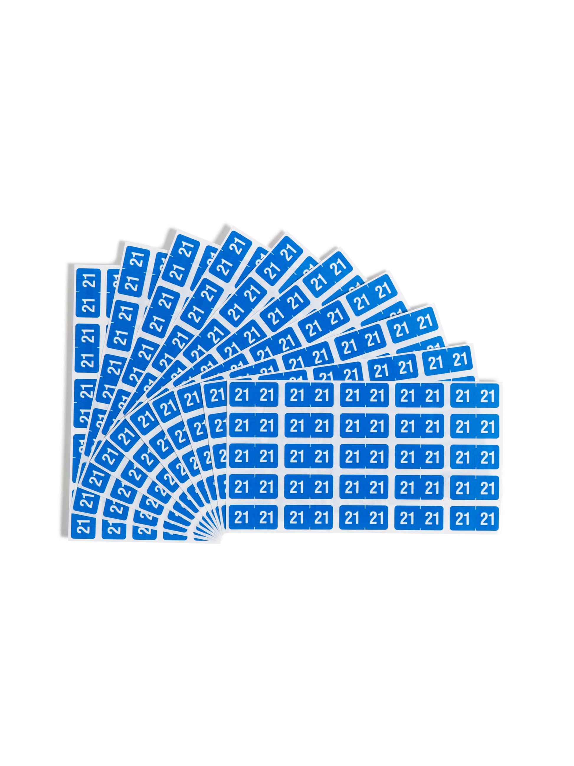 ETS Color-Coded Year Labels - Sheets, Light Blue Color, 1" X 1/2" Size, Set of 250, 086486679213