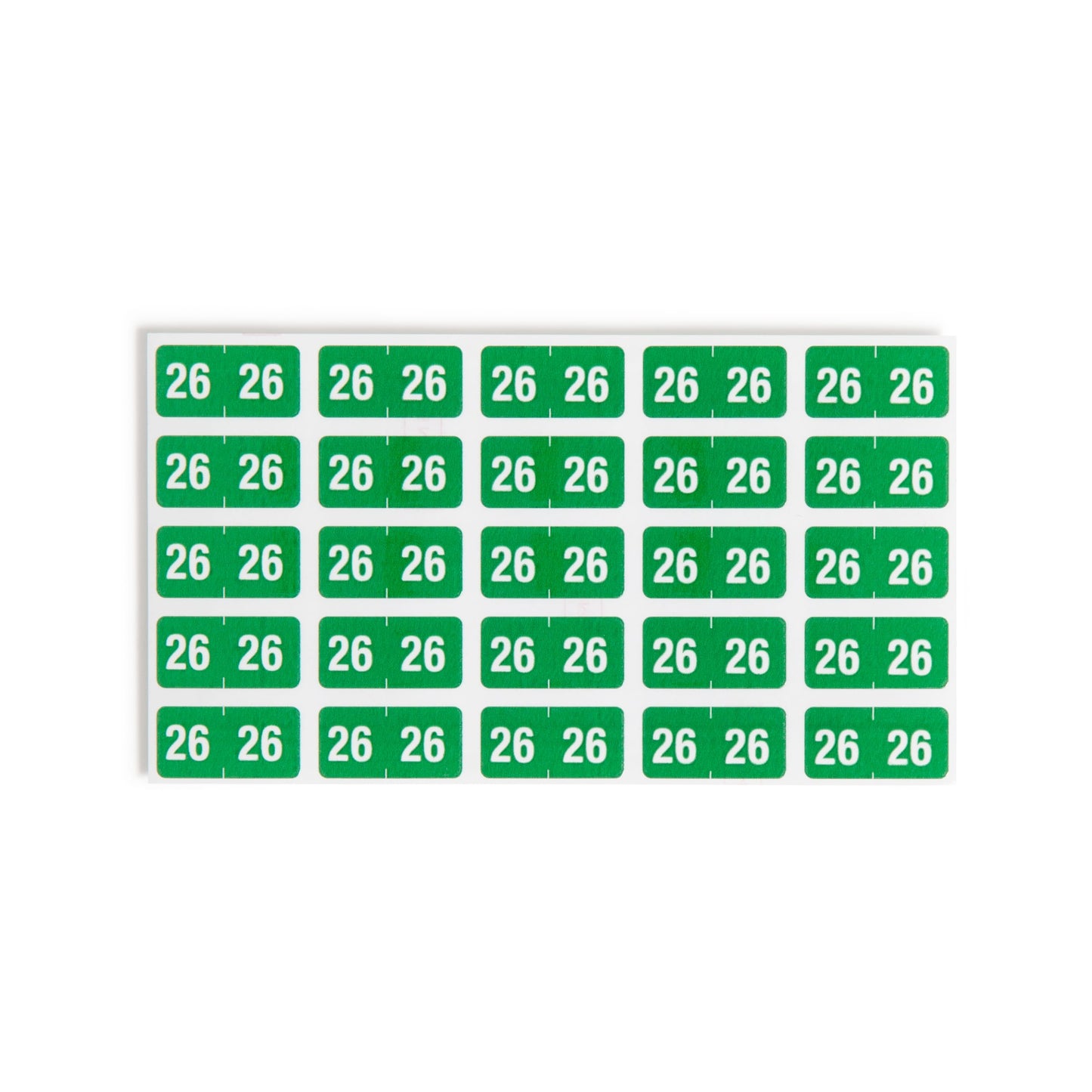 ETS Color-Coded Year Labels - Sheets, Green Color, 1" X 1/2" Size, Set of 250, 086486679268