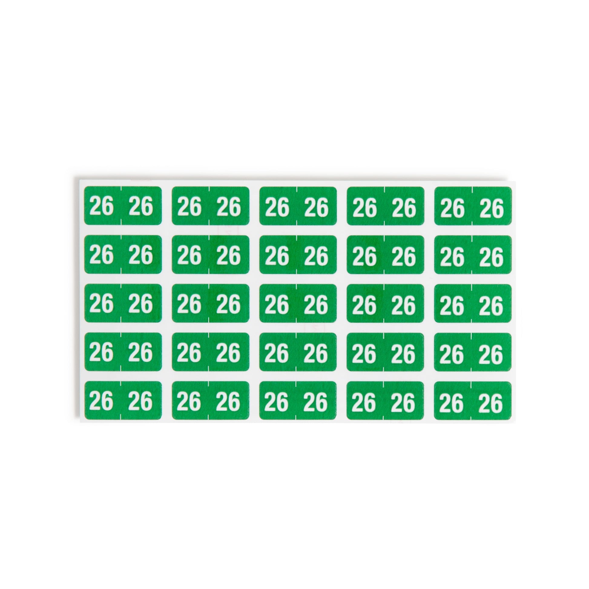 ETS Color-Coded Year Labels - Sheets, Green Color, 1" X 1/2" Size, Set of 250, 086486679268