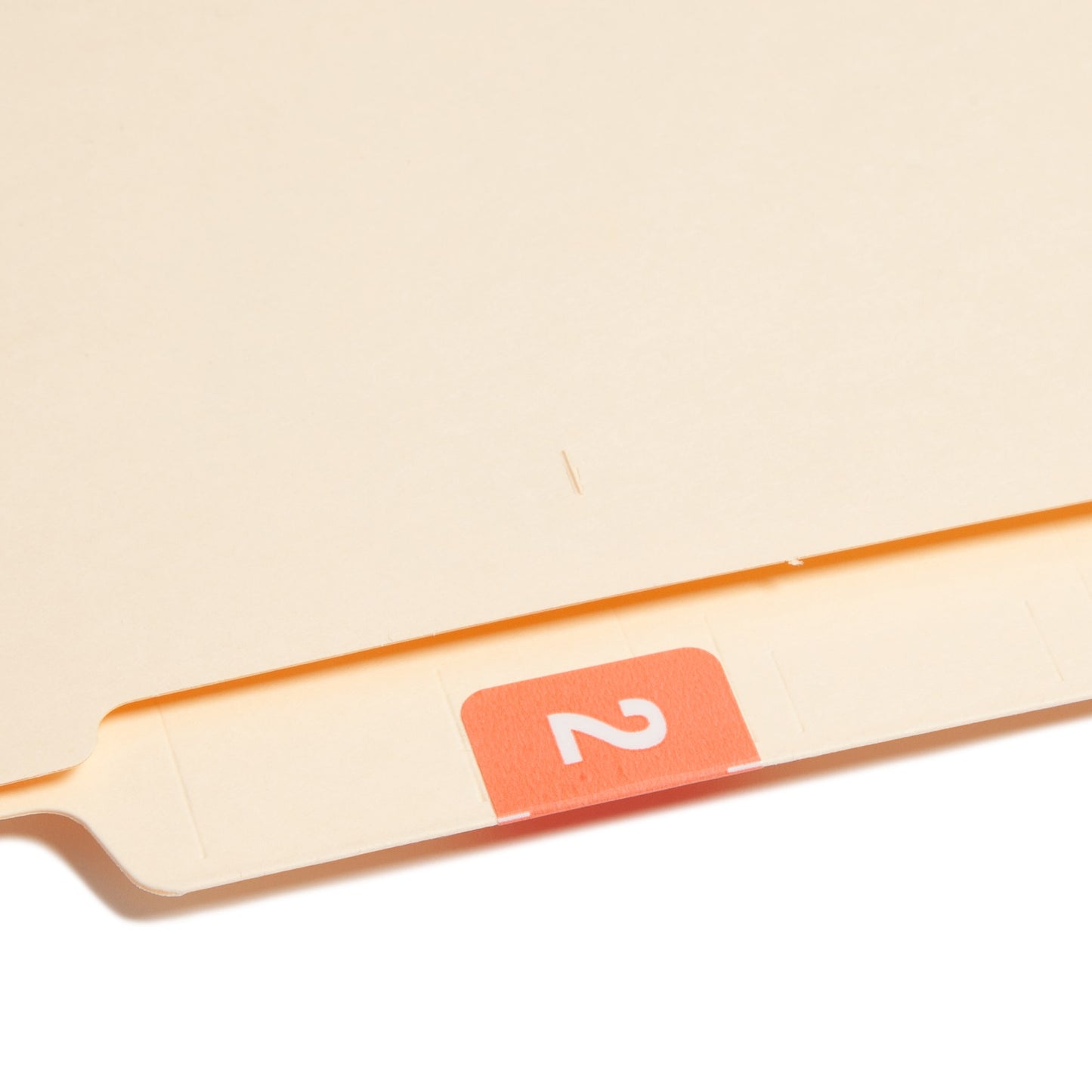 DCCRN Color-Coded Numeric Labels - Rolls, Pink Color, 1-1/4" X 1" Size, Set of 500, 086486673426