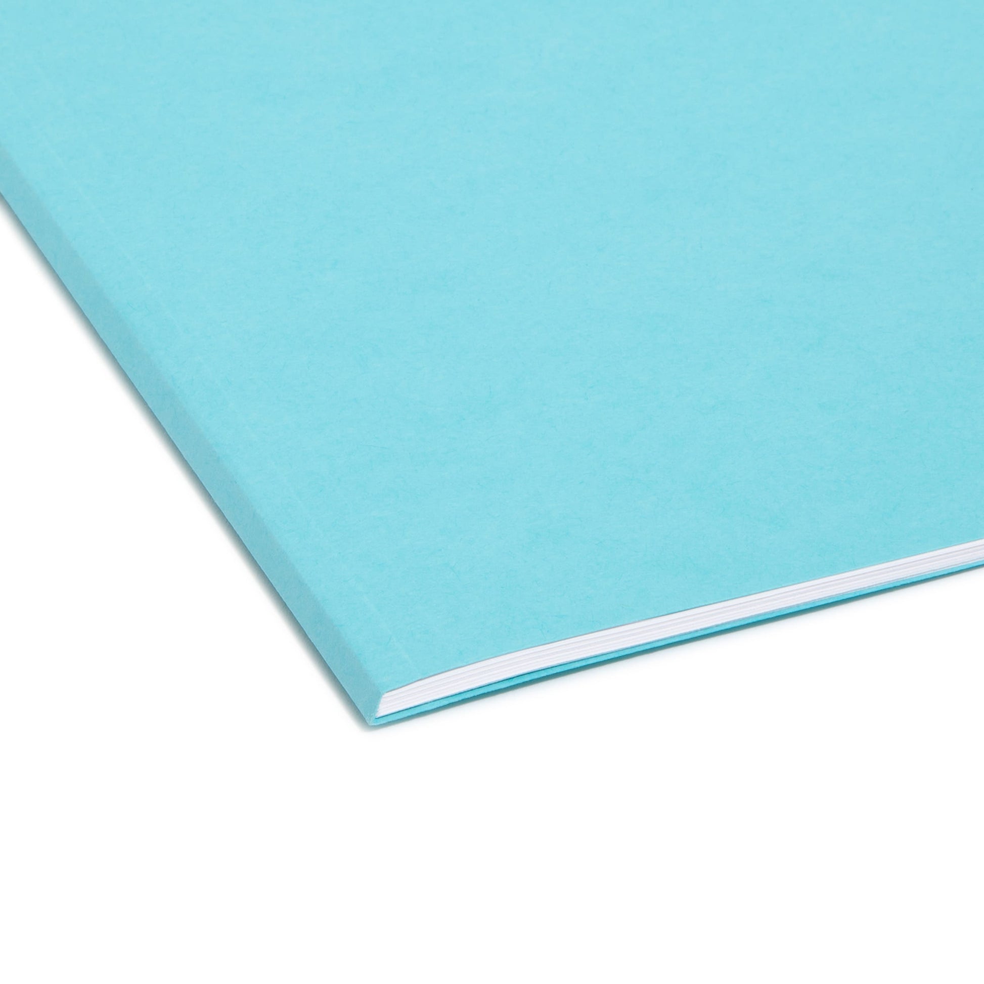 Interior File Folders, Aqua Color, Letter Size, Set of 100, 086486102353