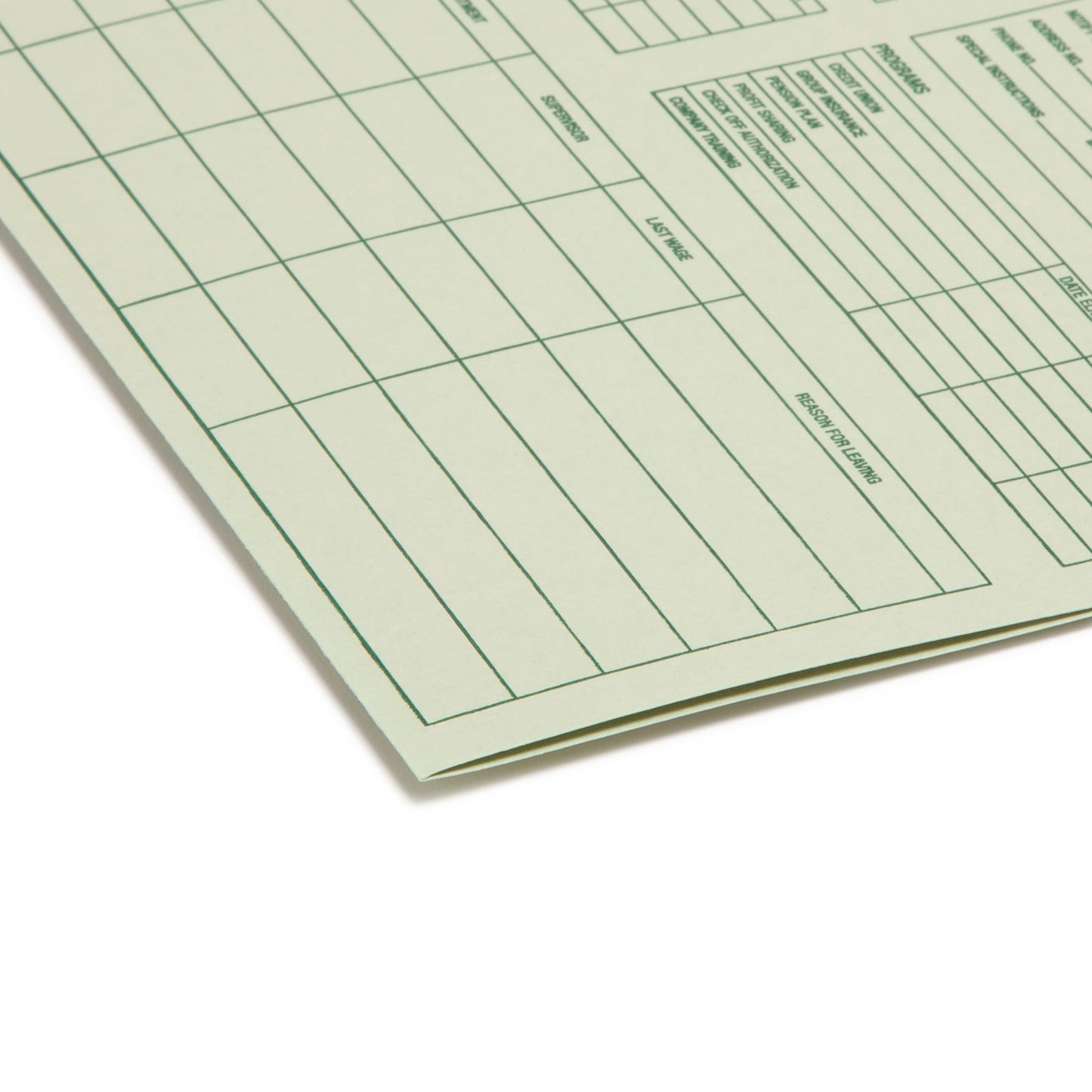 Employee Record File Folders, Moss Green Color, Letter Size, Set of 20, 086486770002