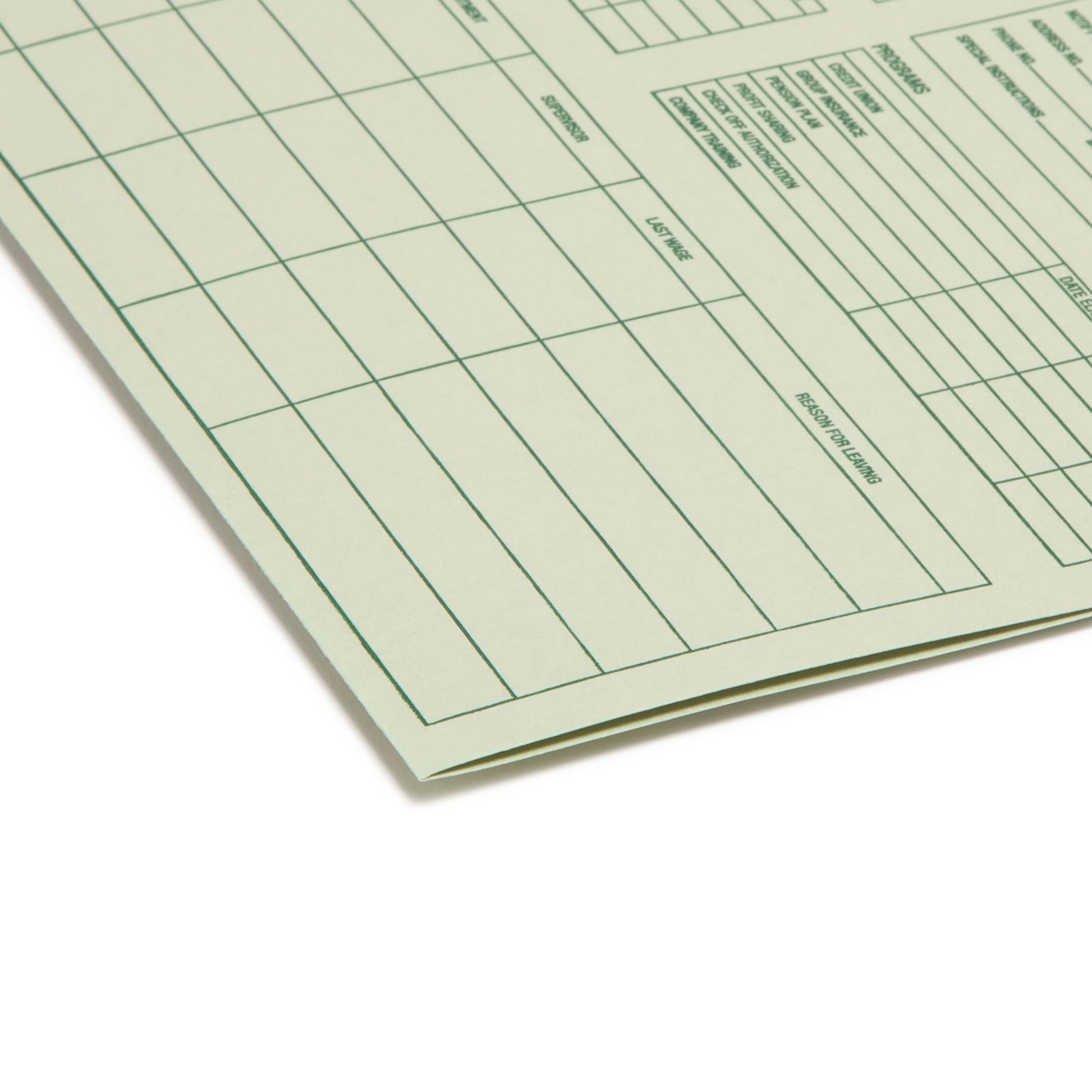 Employee Record File Folders, Moss Green Color, Letter Size, Set of 20, 086486770002