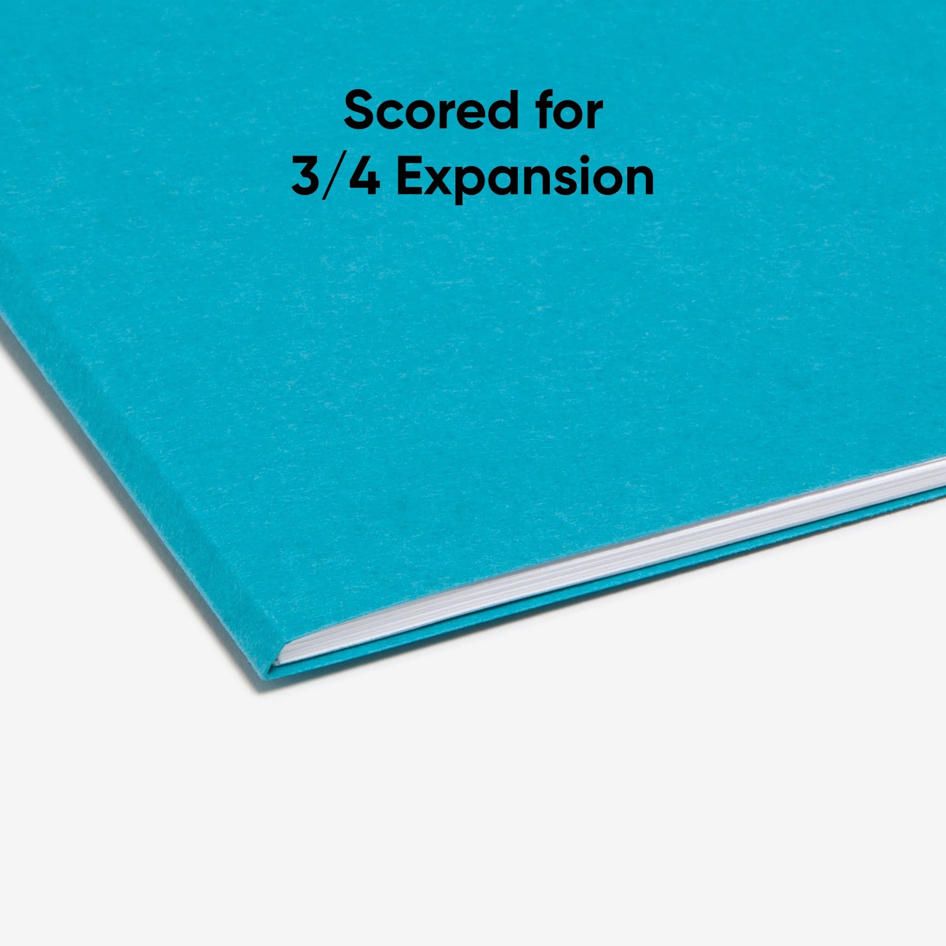 Standard File Folders, 1/3-Cut Tab, Teal Color, Letter Size, Set of 100, 086486131438