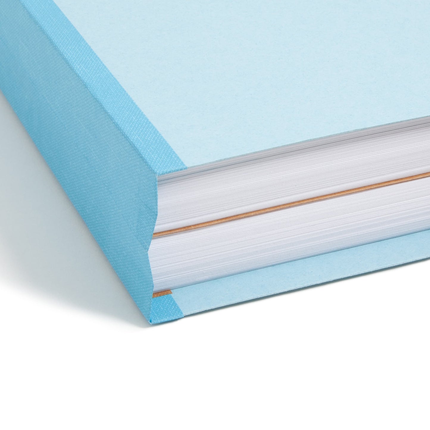 FasTab®/SafeSHIELD® Hanging Classification File Folders, Blue Color, Letter Size, Set of 10, 30086486651050