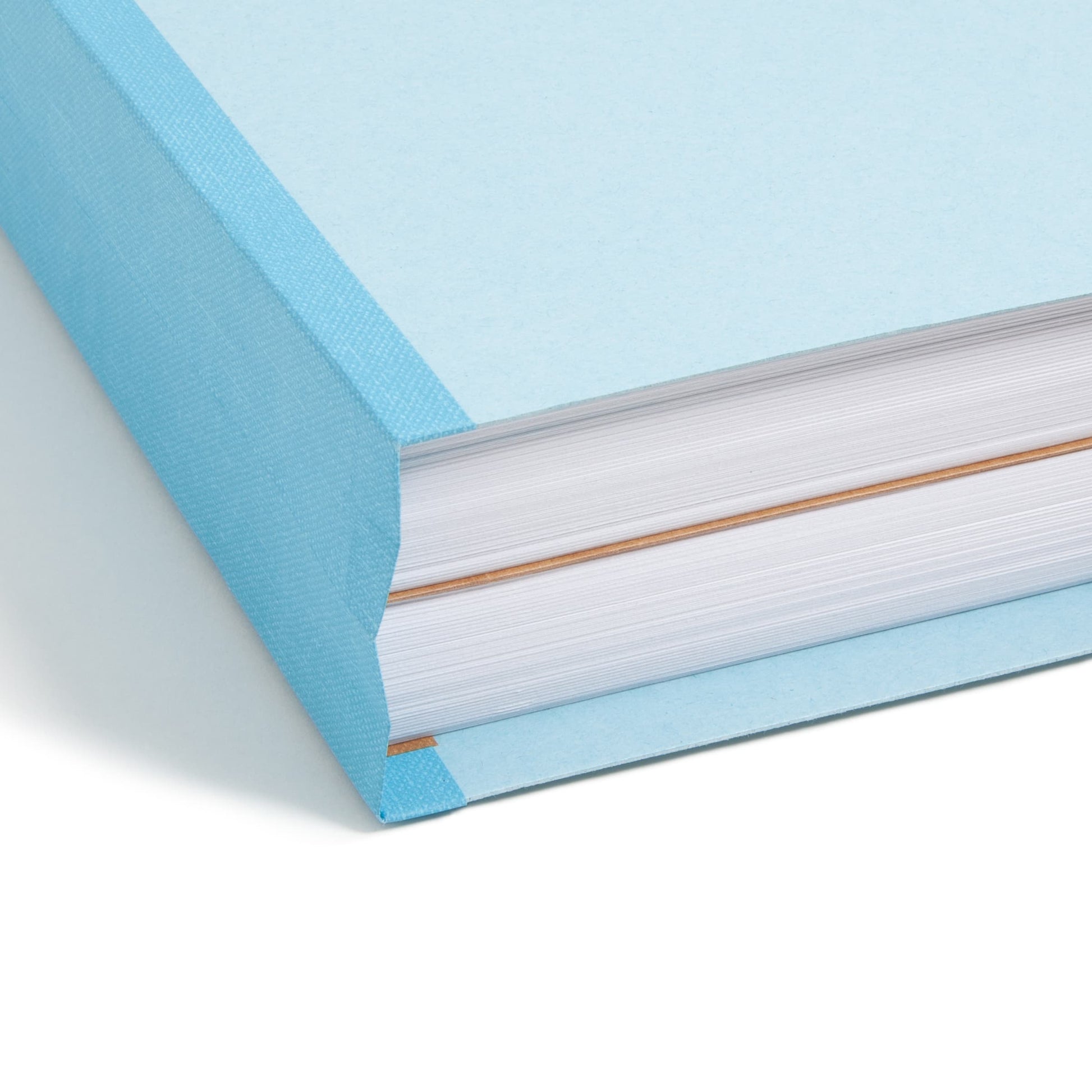 FasTab®/SafeSHIELD® Hanging Classification File Folders, Blue Color, Letter Size, Set of 10, 30086486651050