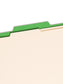 Classification File Folders, 2 Dividers, 2 inch Expansion, Green Color, Letter Size, Set of 10, 30086486140028