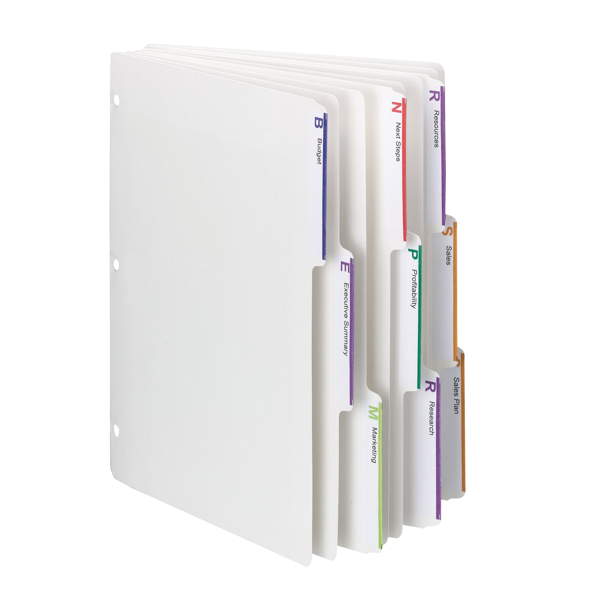 Viewables® Three-Ring Binder Dividers, White Color, Letter Size, Set of 75, 30086486894136