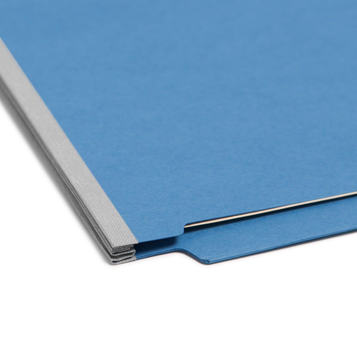 End Tab Classification File Folders, Straight-Cut Tab, 2 inch Expansion, 2 Dividers, Blue Color, Letter Size, Set of 10, 30086486268364