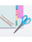 U-Eco Poly Binder with 5 Tab Dividers, U-Eco, 1/5 Cut, 2 Pockets, 5 Dividers, Orchid, Orchid, Set of 6, 843463166063