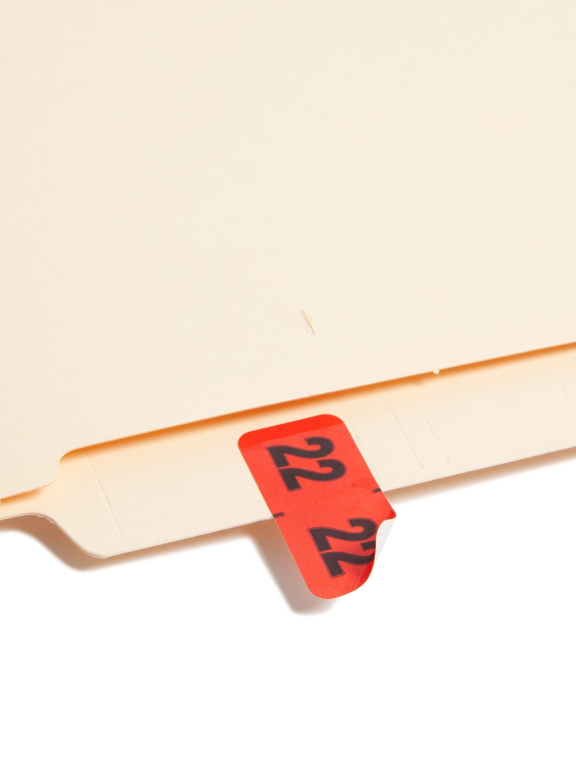 ETYJ Color-Coded Year Labels, Red Color, 1-1/2" X 3/4" Size, Set of 50, 086486683227