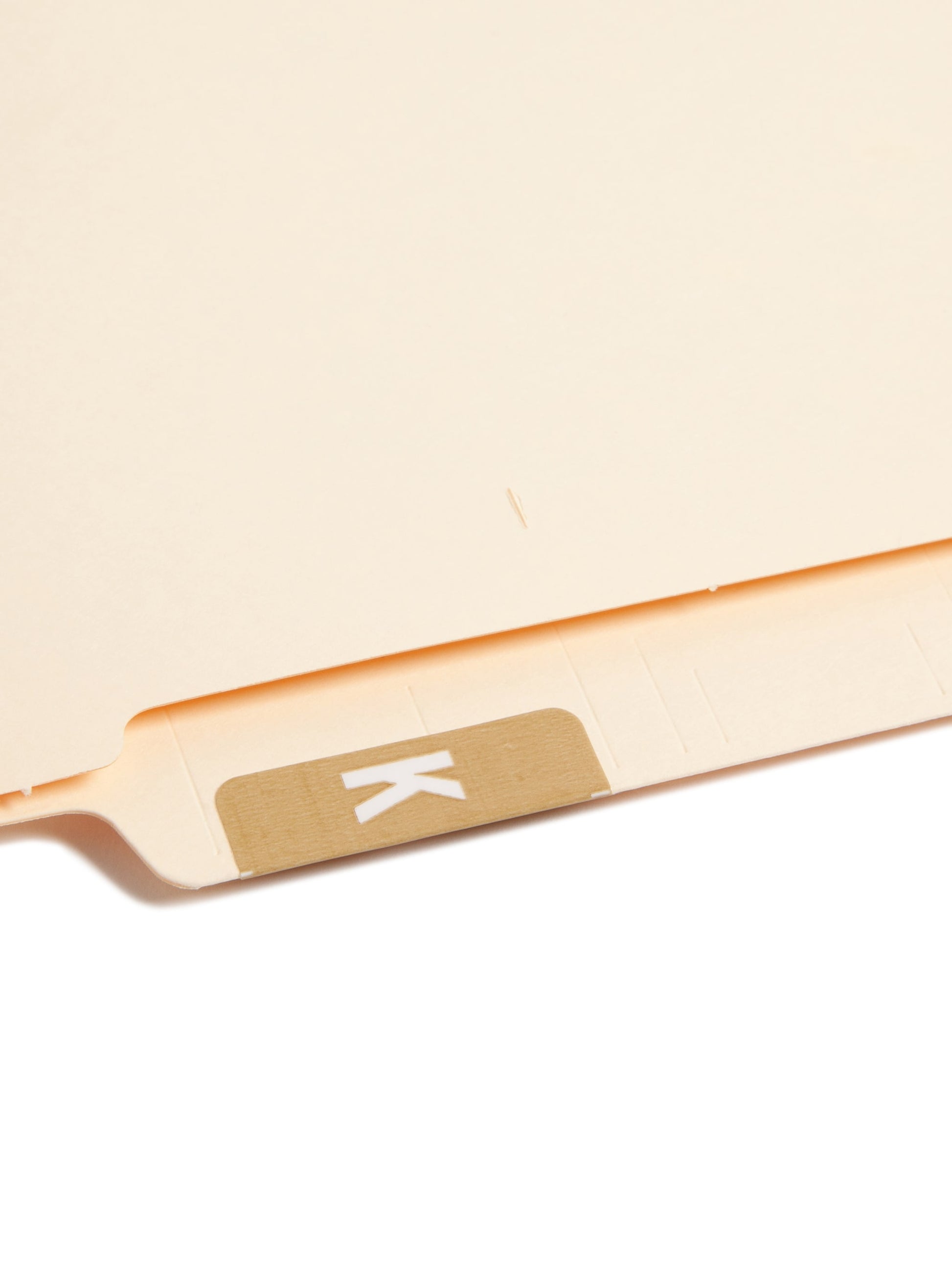 AlphaZ® ACCS Color Coded Alphabetic Labels - Sheets, Light Brown Color, 1" X 1-5/8" Size, Set of 100, 086486671811