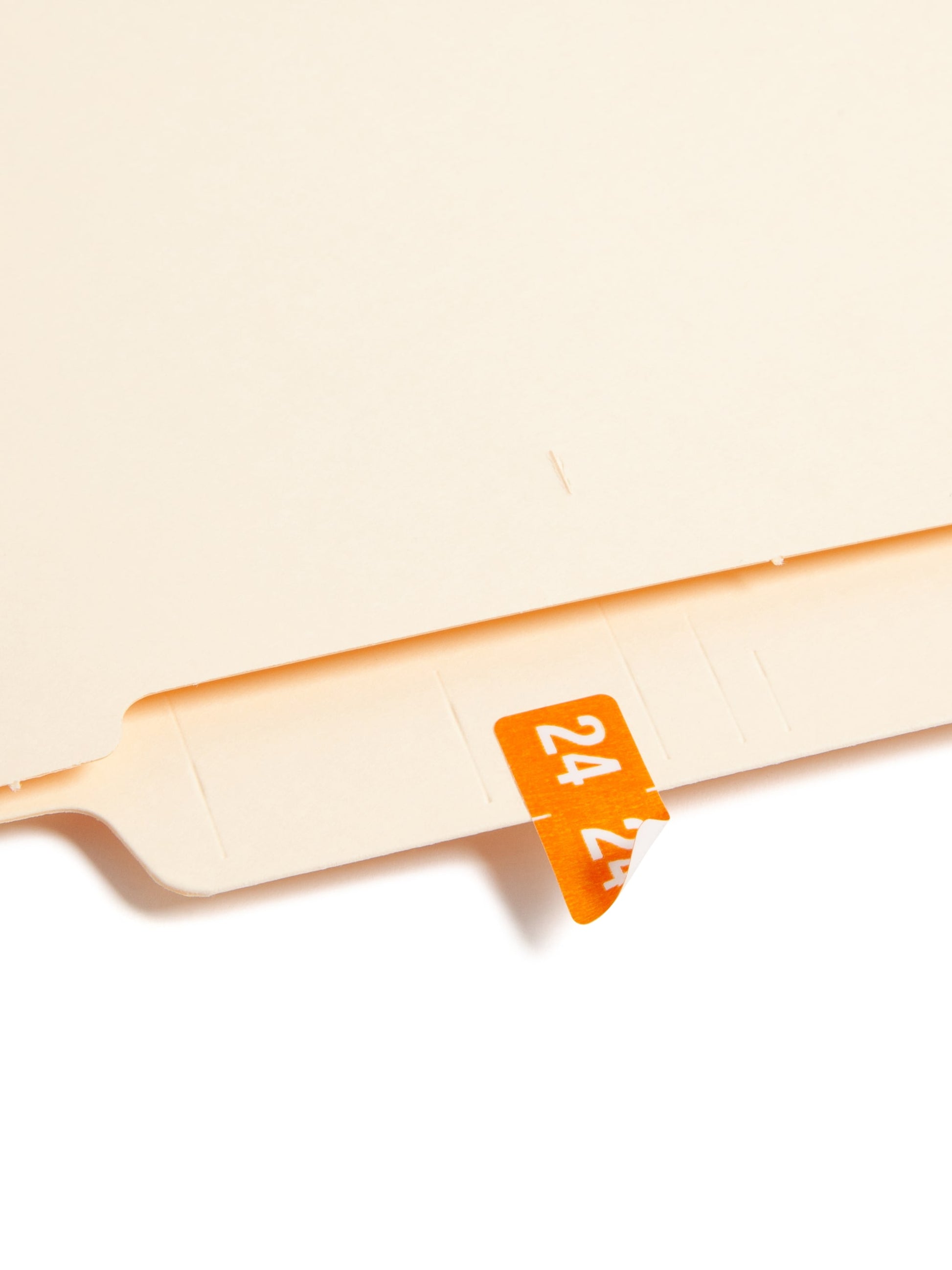 ETS Color-Coded Year Labels - Sheets, Orange Color, 1" X 1/2" Size, Set of 250, 086486679244
