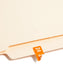 ETS Color-Coded Year Labels - Sheets, Orange Color, 1" X 1/2" Size, Set of 250, 086486679244