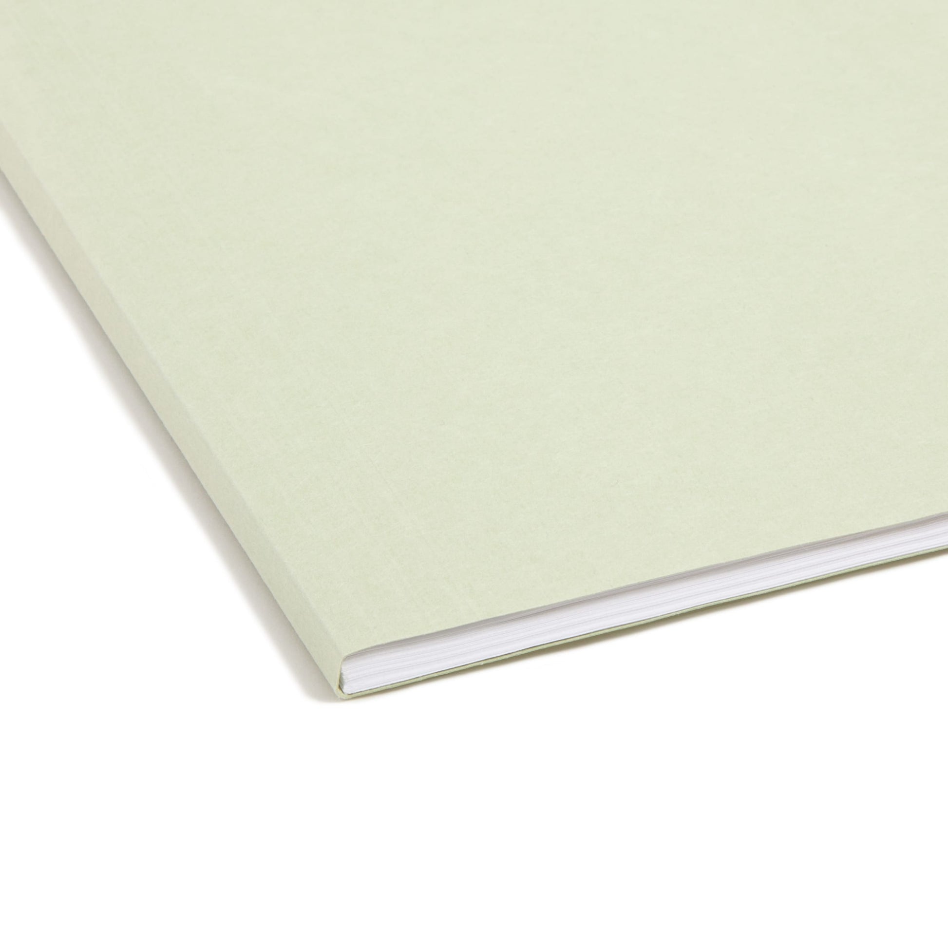 FasTab®/SafeSHIELD® Hanging File Fastener Folders, 1/3-Cut Tab, Moss Green Color, Letter Size, Set of 1, 086486651202