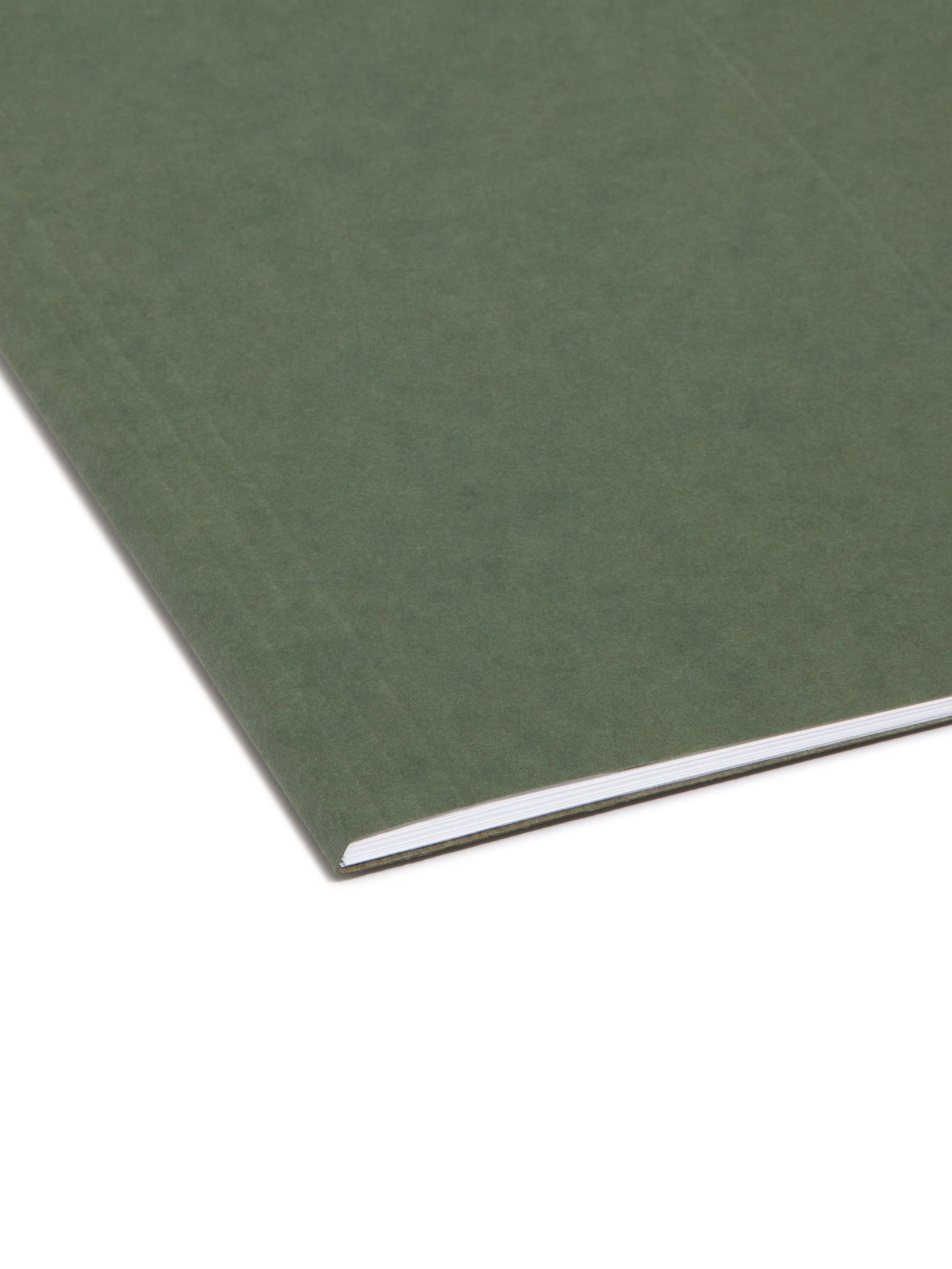 Standard Hanging File Folders, Without Tabs, Standard Green Color, Legal Size, Set of 25, 086486641104