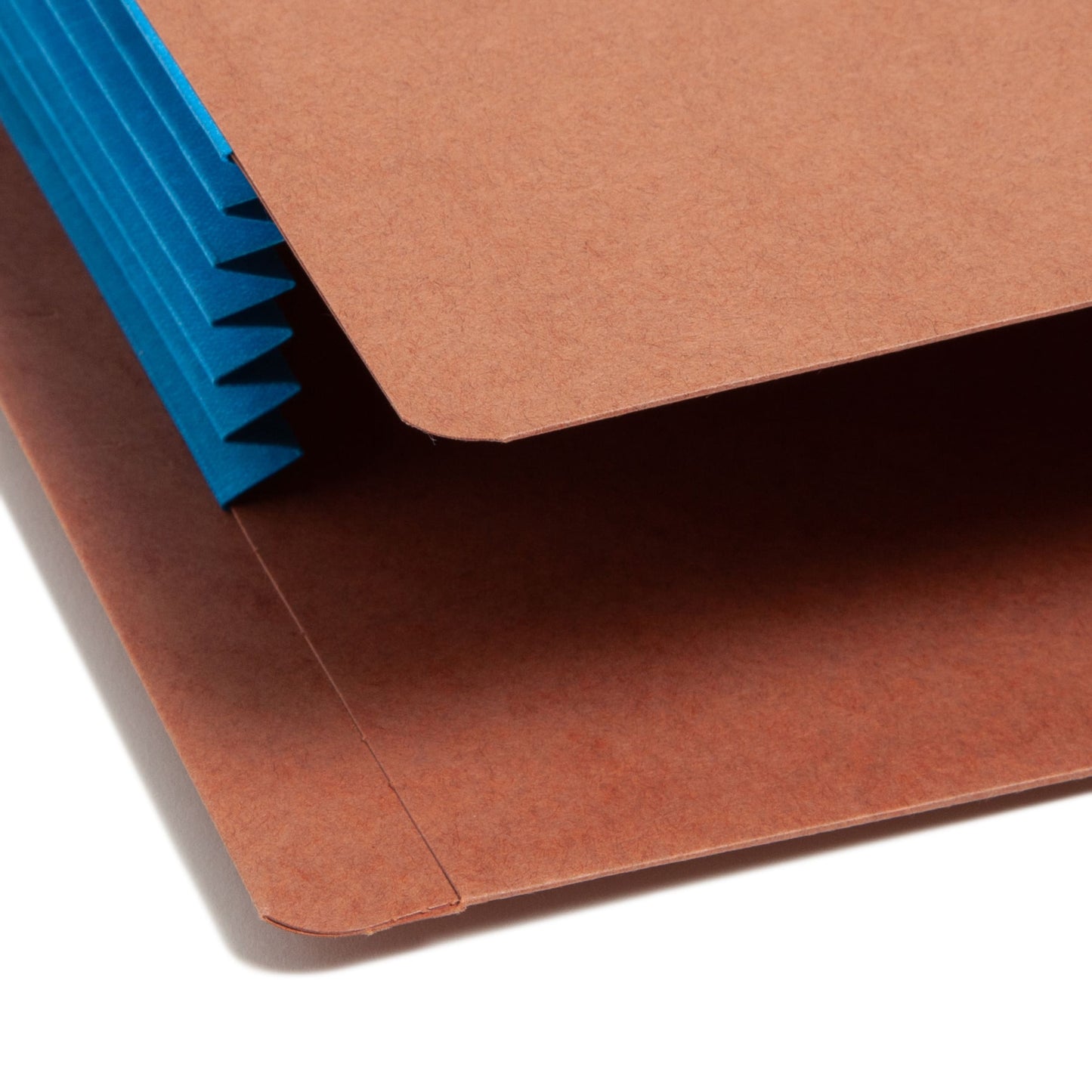 Reinforced End Tab File Pockets, Straight-Cut Tab, 5-1/4 inch Expansion, Blue Color, Extra Wide Letter Size, Set of 10, 30086486736894