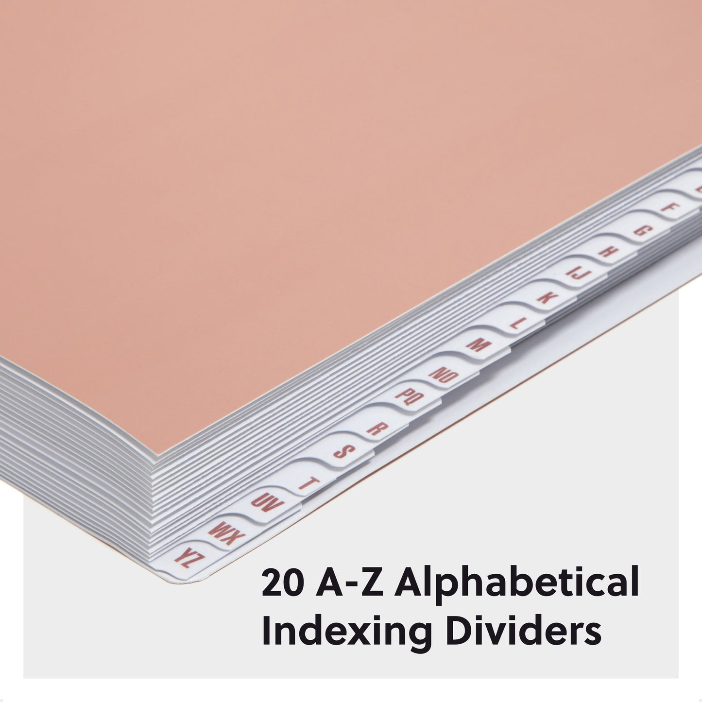 Desk File/Sorters, Rosewood Color, Letter Size, Set of 1, 086486892148