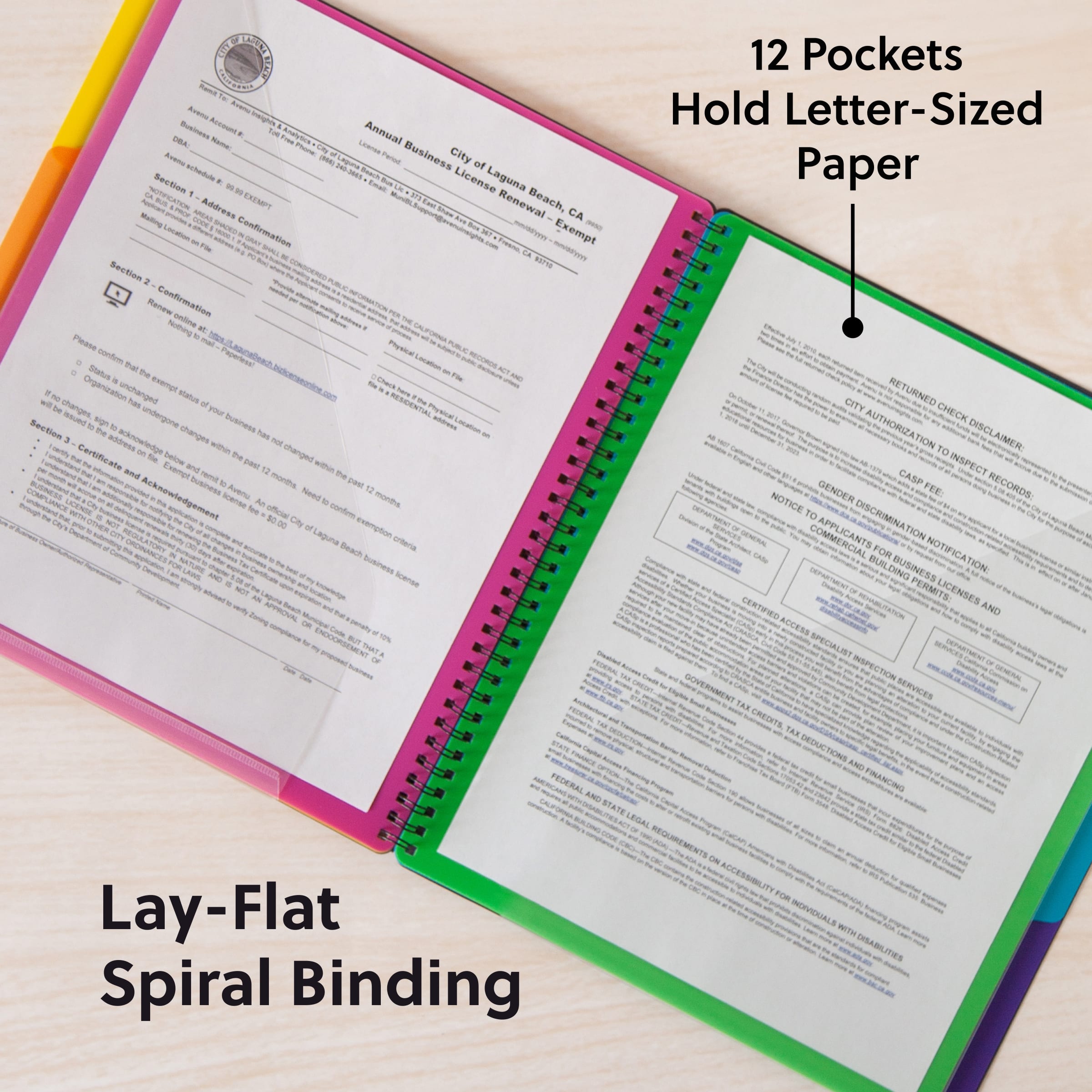 Poly Project Organizers, 12 Pockets, 1/3-Cut Tab