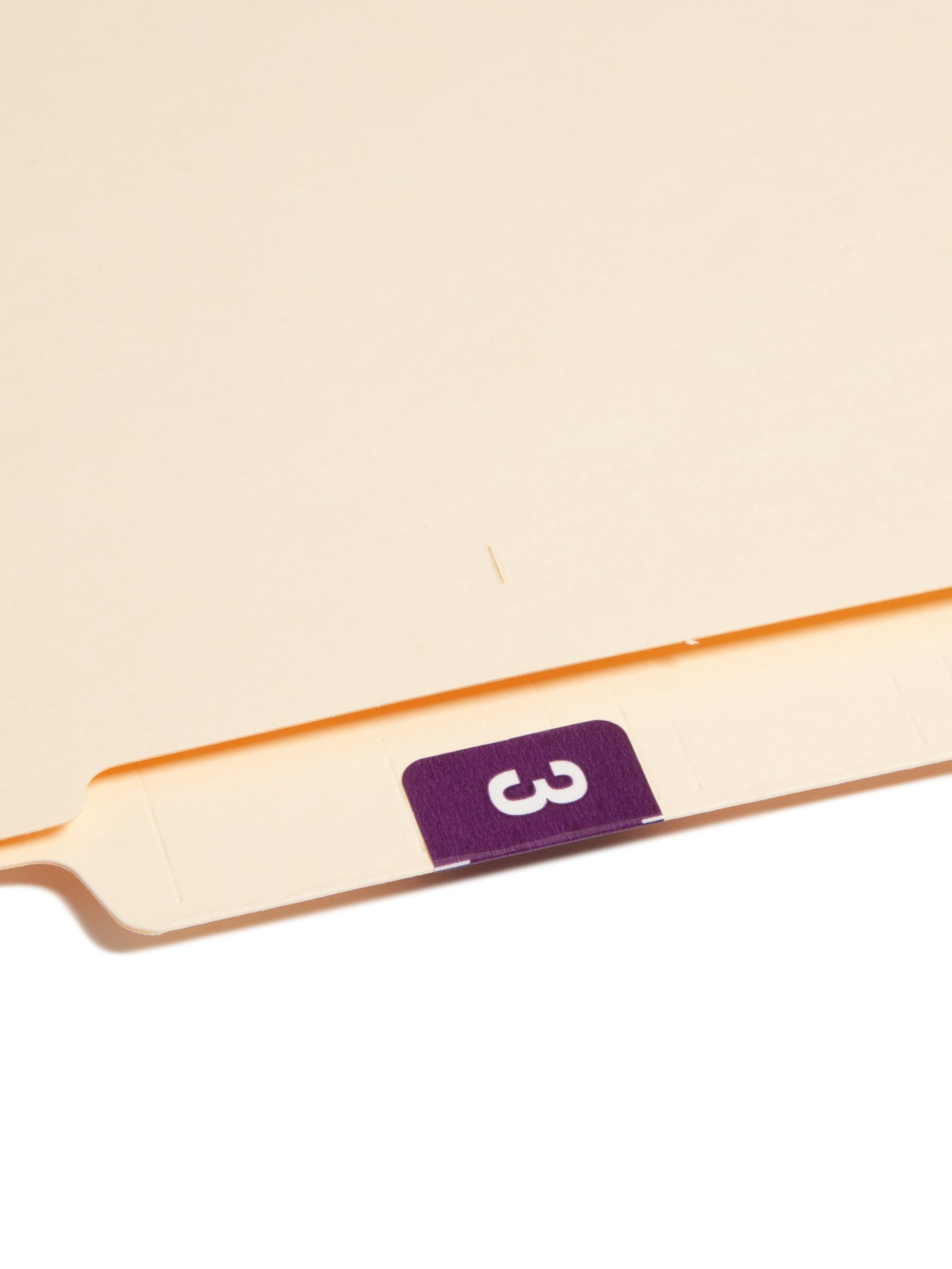 DCCRN Color-Coded Numeric Labels - Rolls, Purple Color, 1-1/4" X 1" Size, Set of 50, 086486673433