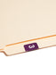 DCCRN Color-Coded Numeric Labels - Rolls, Purple Color, 1-1/4" X 1" Size, Set of 50, 086486673433
