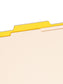 Classification File Folders, 2 Dividers, 2 inch Expansion, Yellow Color, Letter Size, Set of 10, 30086486140042