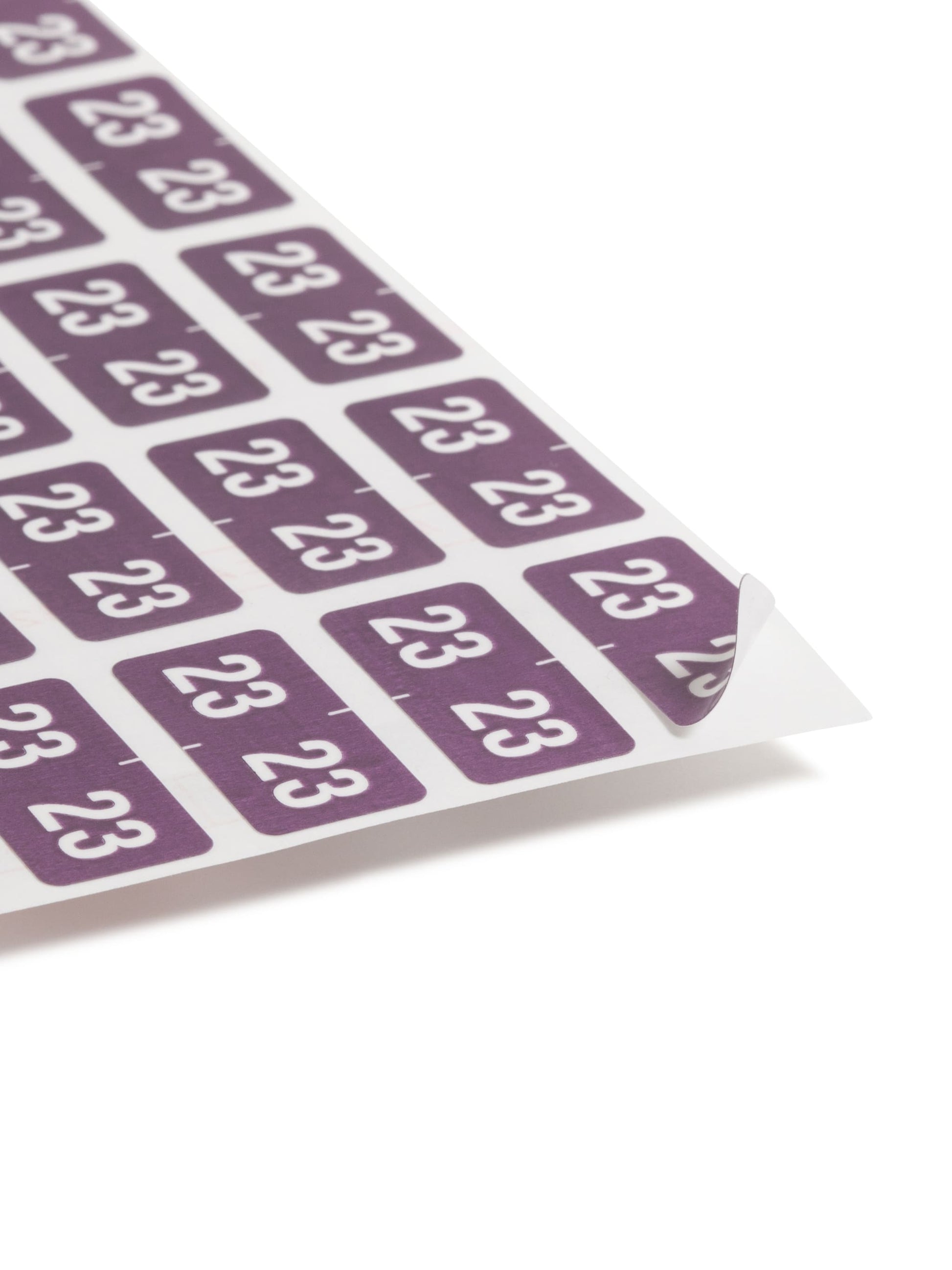 ETS Color-Coded Year Labels - Sheets, Purple Color, 1" X 1/2" Size, Set of 250, 086486679237