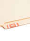 AlphaZ® ACCS Color Coded Alphabetic Labels - Sheets, Pink Color, 1" X 1-5/8" Size, Set of 100, 086486671927