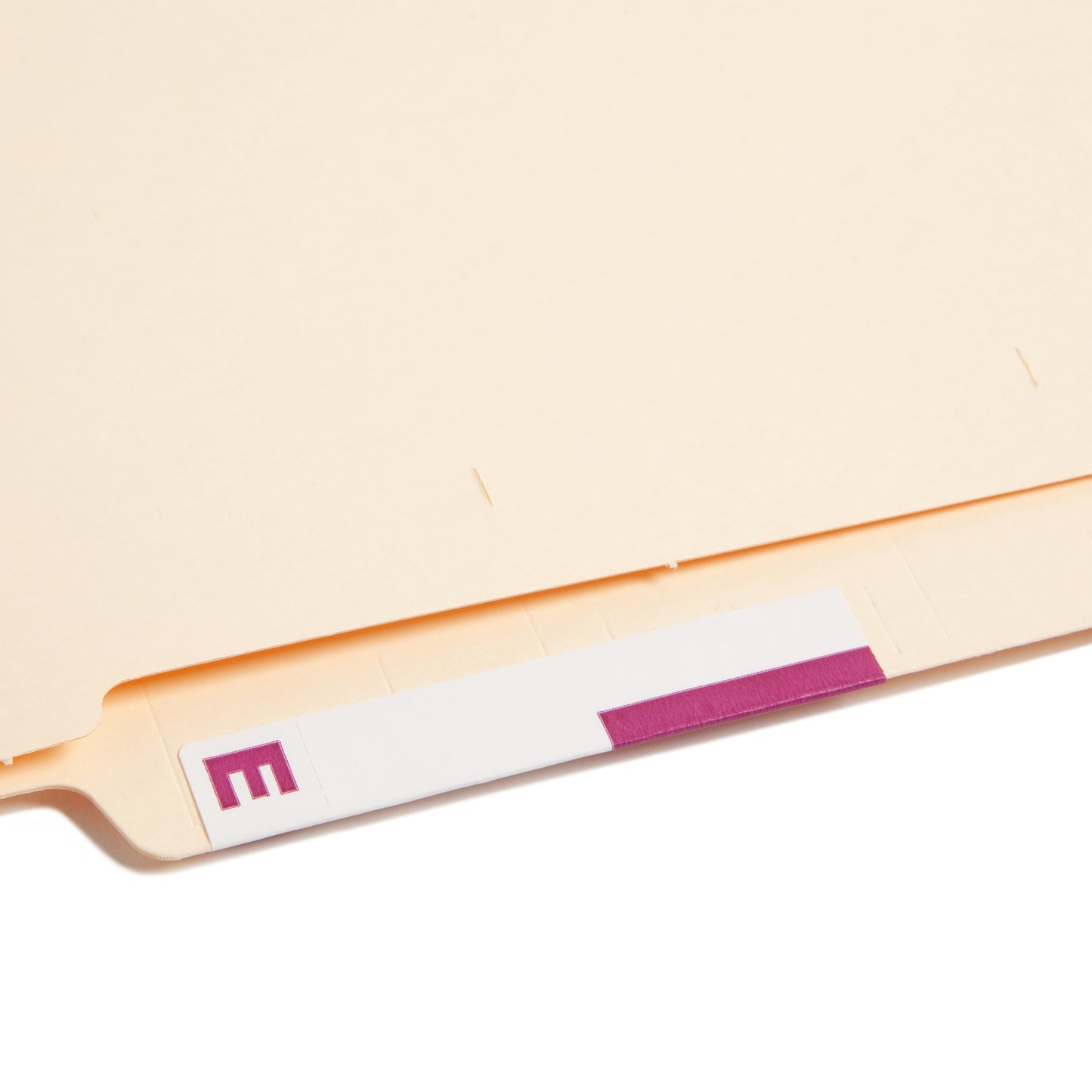 AlphaZ® NCC Color-Coded Name Labels - Sheets, Purple Color, 3-5/8" X 1-5/32" Size, Set of 100, 086486671569