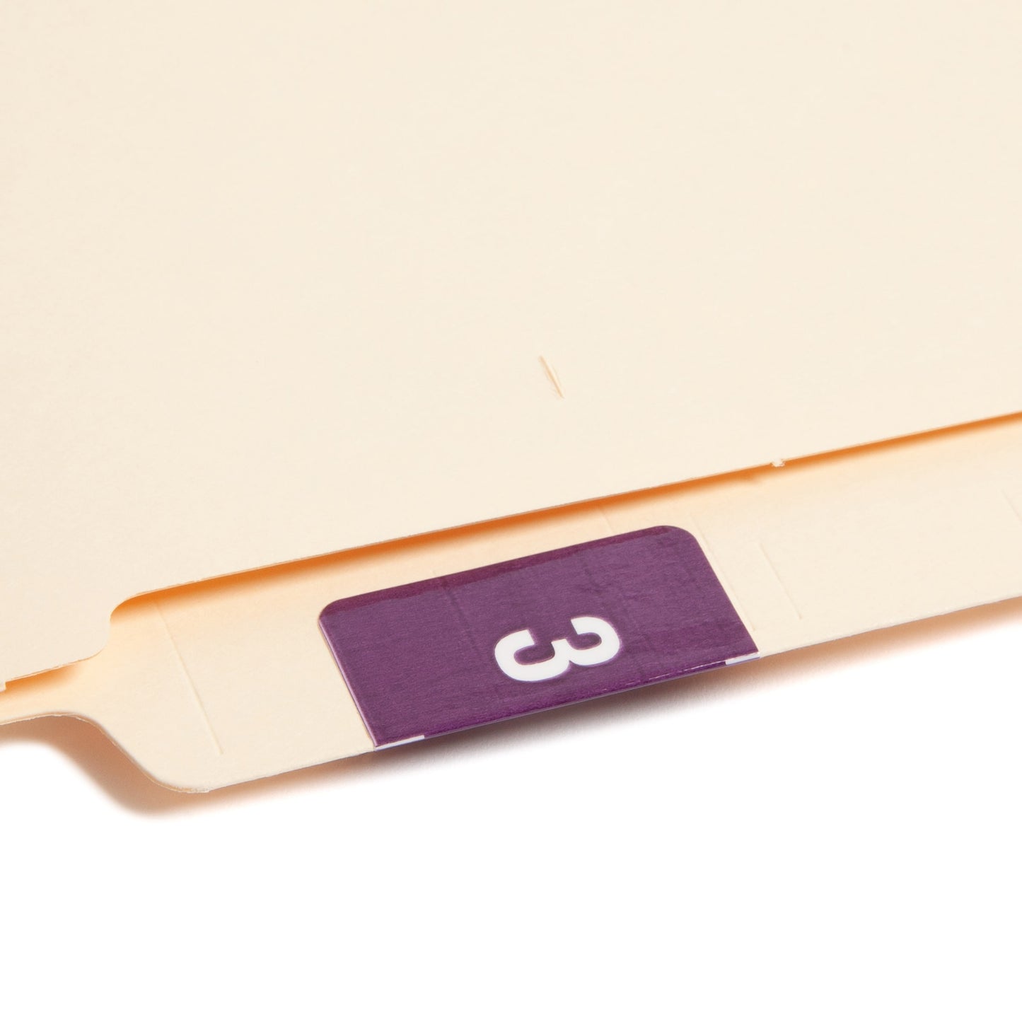 DCC Color-Coded Numeric Labels - Rolls, Purple Color, 1-1/2" X 1-1/2" Size, Set of 250, 086486674232