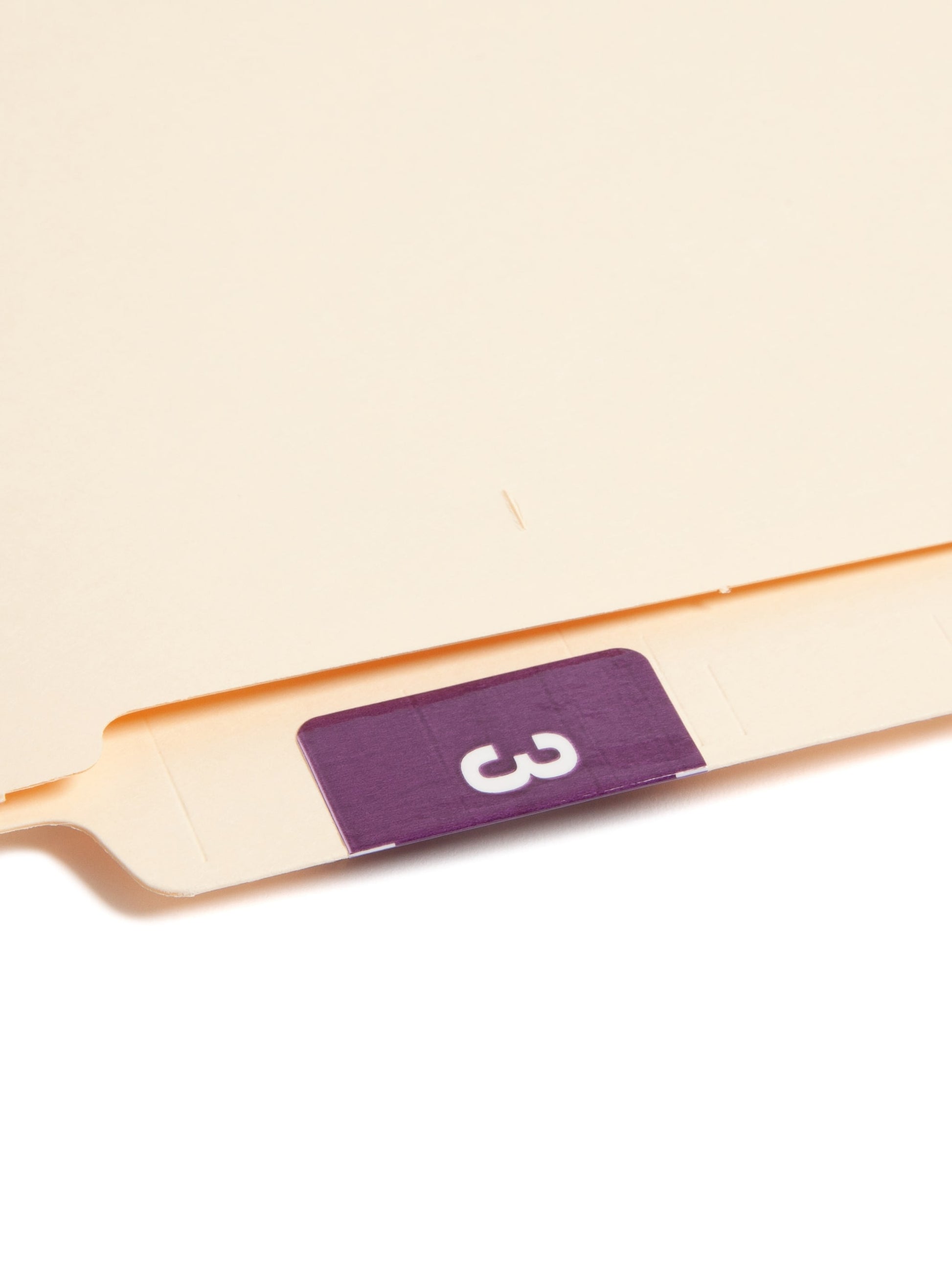 DCC Color-Coded Numeric Labels - Rolls, Purple Color, 1-1/2" X 1-1/2" Size, Set of 250, 086486674232
