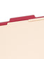 Classification File Folders, 2 Dividers, 2 inch Expansion, Red Color, Letter Size, Set of 10, 30086486140035