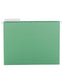 Standard Hanging File Folders with 1/3-Cut Tabs, Green Color, Letter Size, 