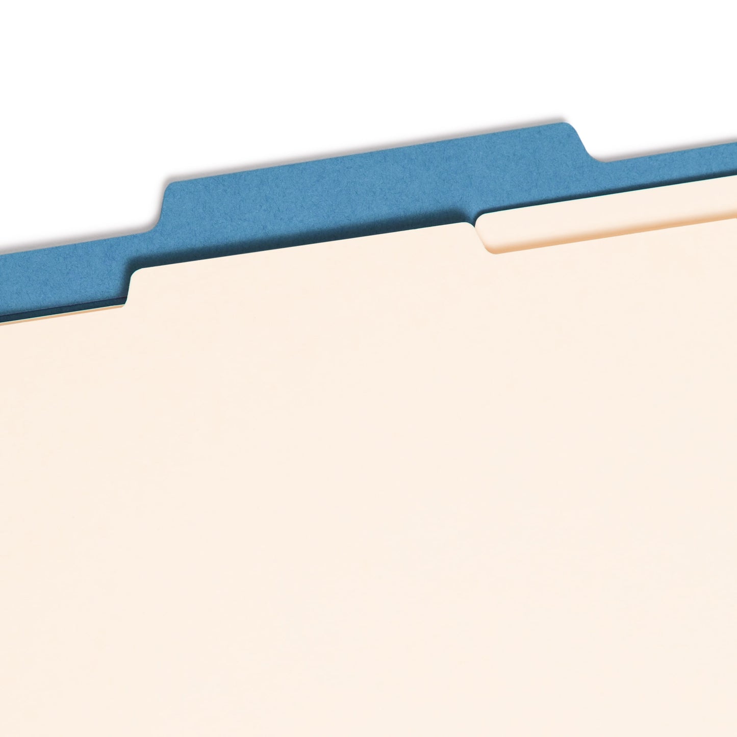 Classification File Folders, 2 Dividers, 2 inch Expansion, Blue Color, Letter Size, Set of 10, 30086486140011