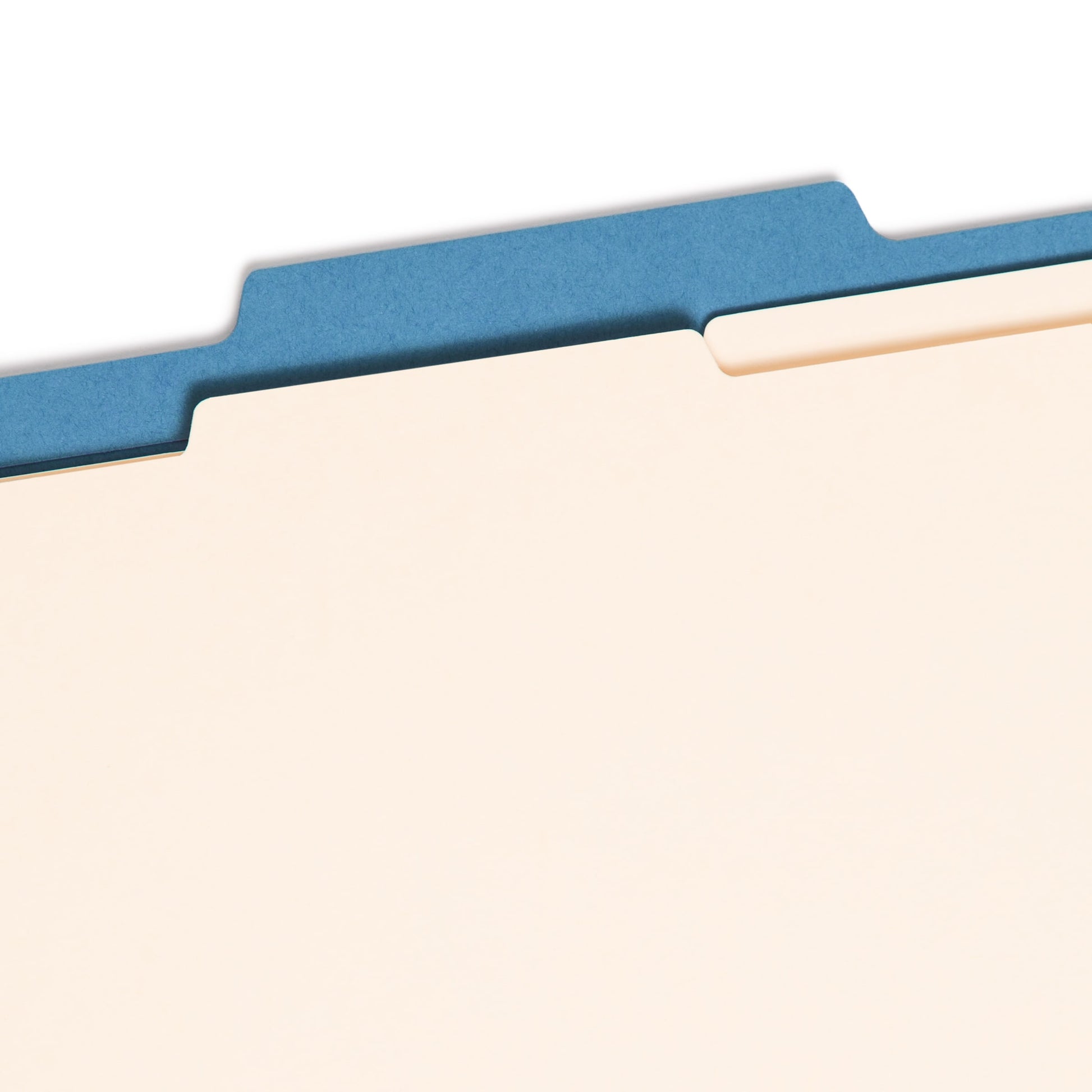 Classification File Folders, 2 Dividers, 2 inch Expansion, Blue Color, Letter Size, Set of 10, 30086486140011