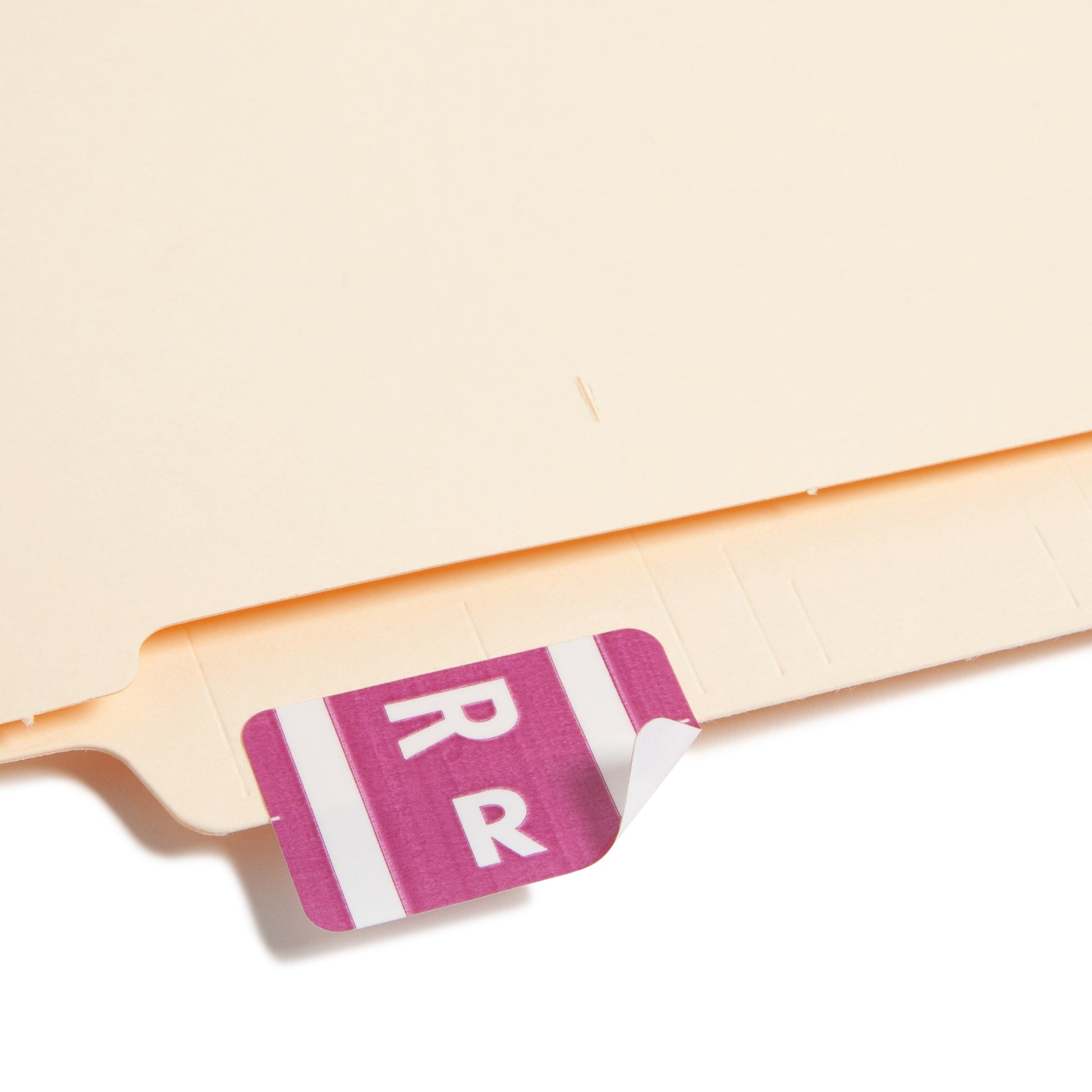 AlphaZ® ACCS Color Coded Alphabetic Labels - Sheets, Purple Color, 1" X 1-5/8" Size, Set of 100, 086486671880