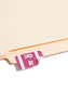 AlphaZ® ACCS Color Coded Alphabetic Labels - Sheets, Purple Color, 1" X 1-5/8" Size, Set of 100, 086486671880