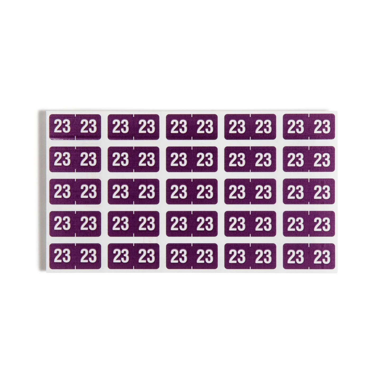 ETS Color-Coded Year Labels - Sheets, Purple Color, 1" X 1/2" Size, Set of 250, 086486679237