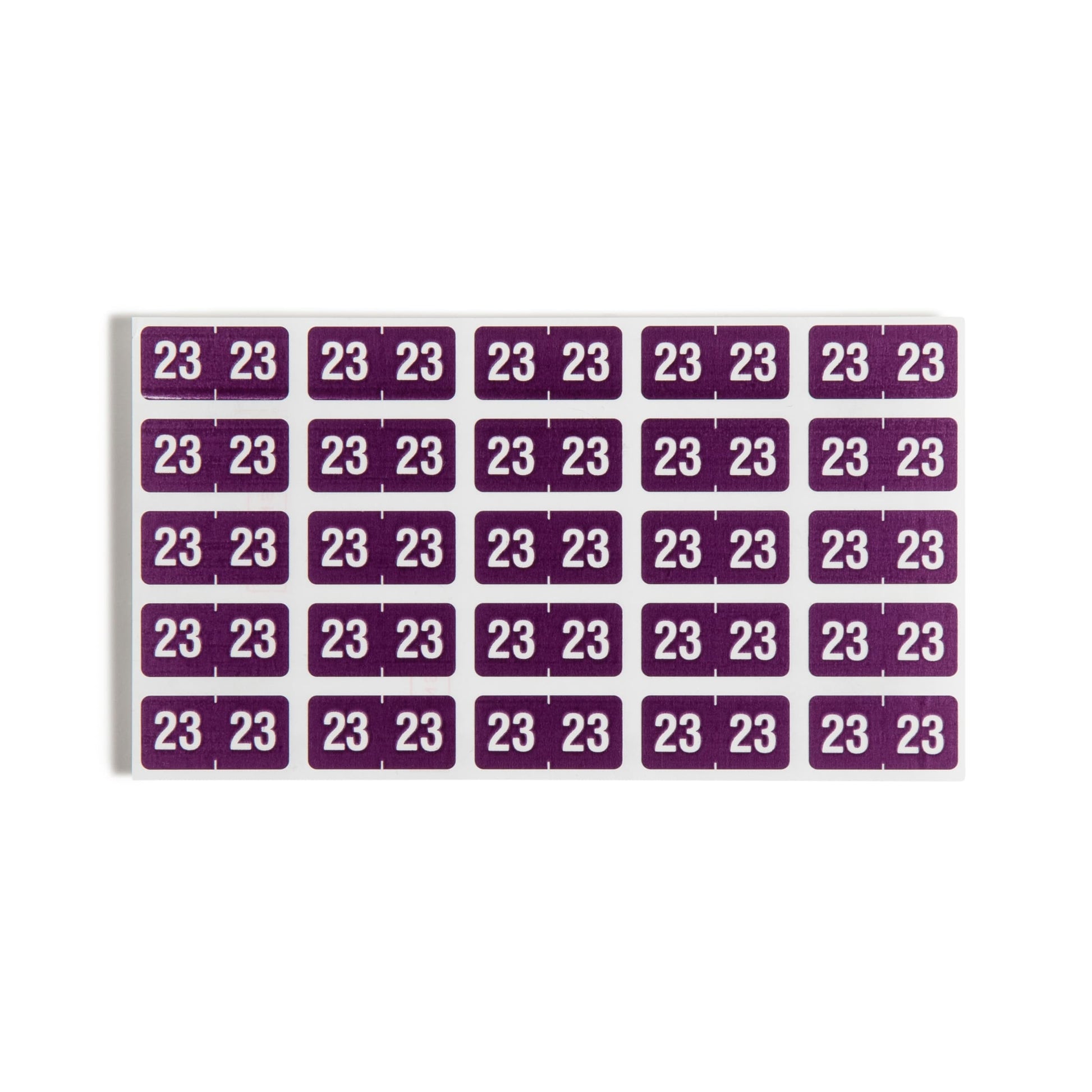 ETS Color-Coded Year Labels - Sheets, Purple Color, 1" X 1/2" Size, Set of 250, 086486679237