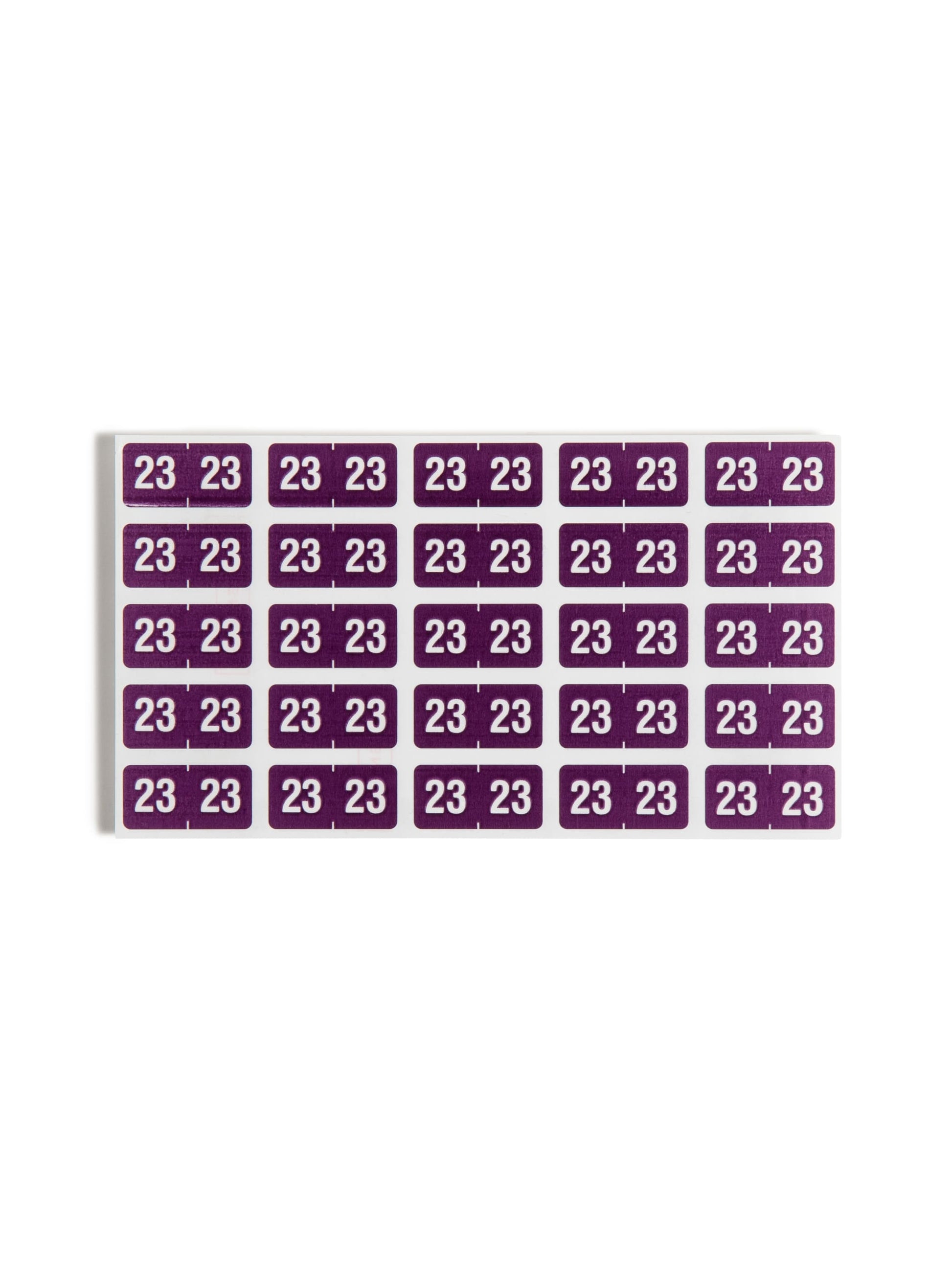 ETS Color-Coded Year Labels - Sheets, Purple Color, 1" X 1/2" Size, 