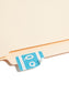 AlphaZ® ACCS Color Coded Alphabetic Labels - Sheets, Light Blue Color, 1" X 1-5/8" Size, Set of 100, 086486671873