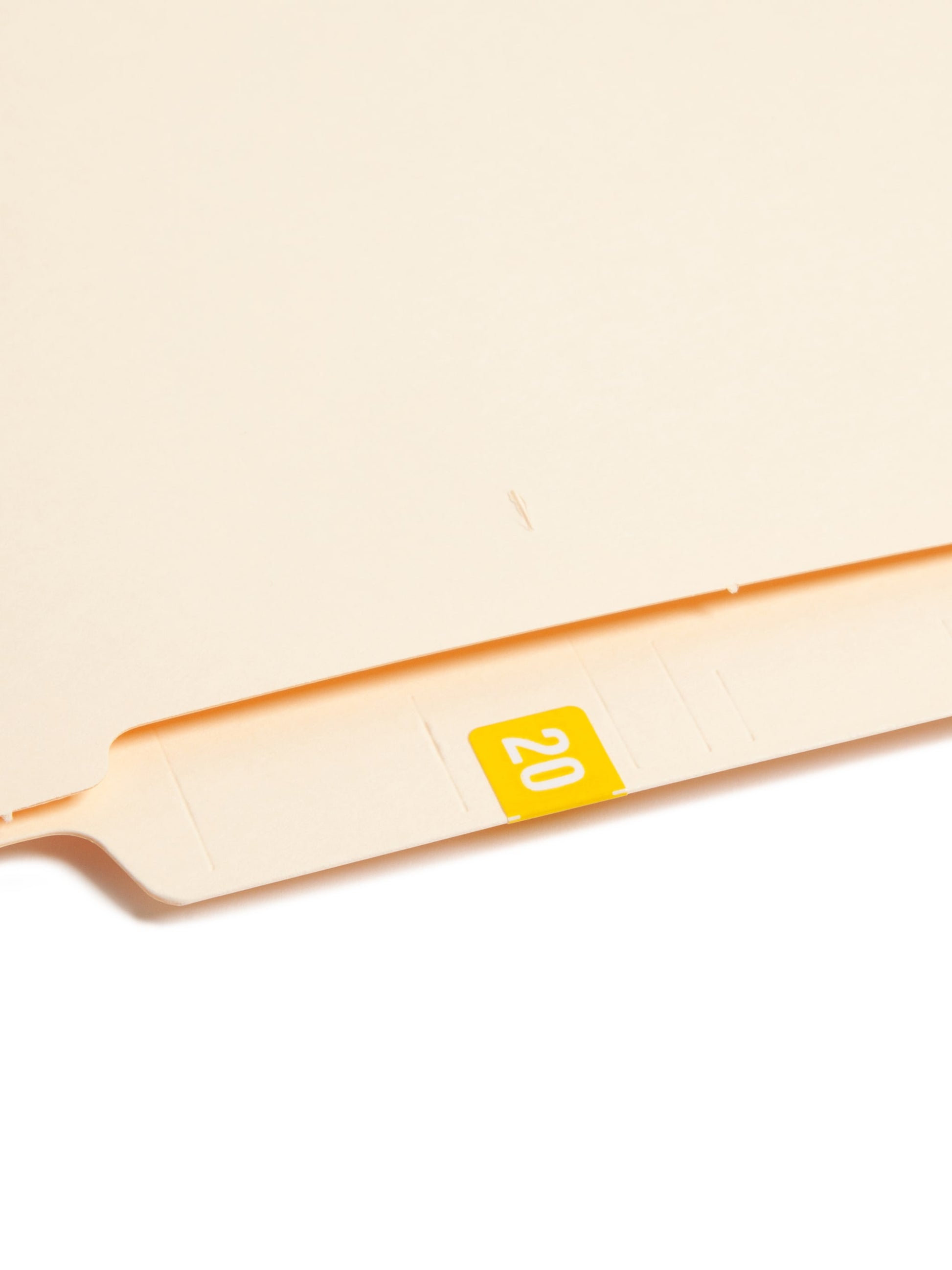 ETS Color-Coded Year Labels - Sheets, Yellow Color, 1" X 1/2" Size, Set of 250, 086486679206