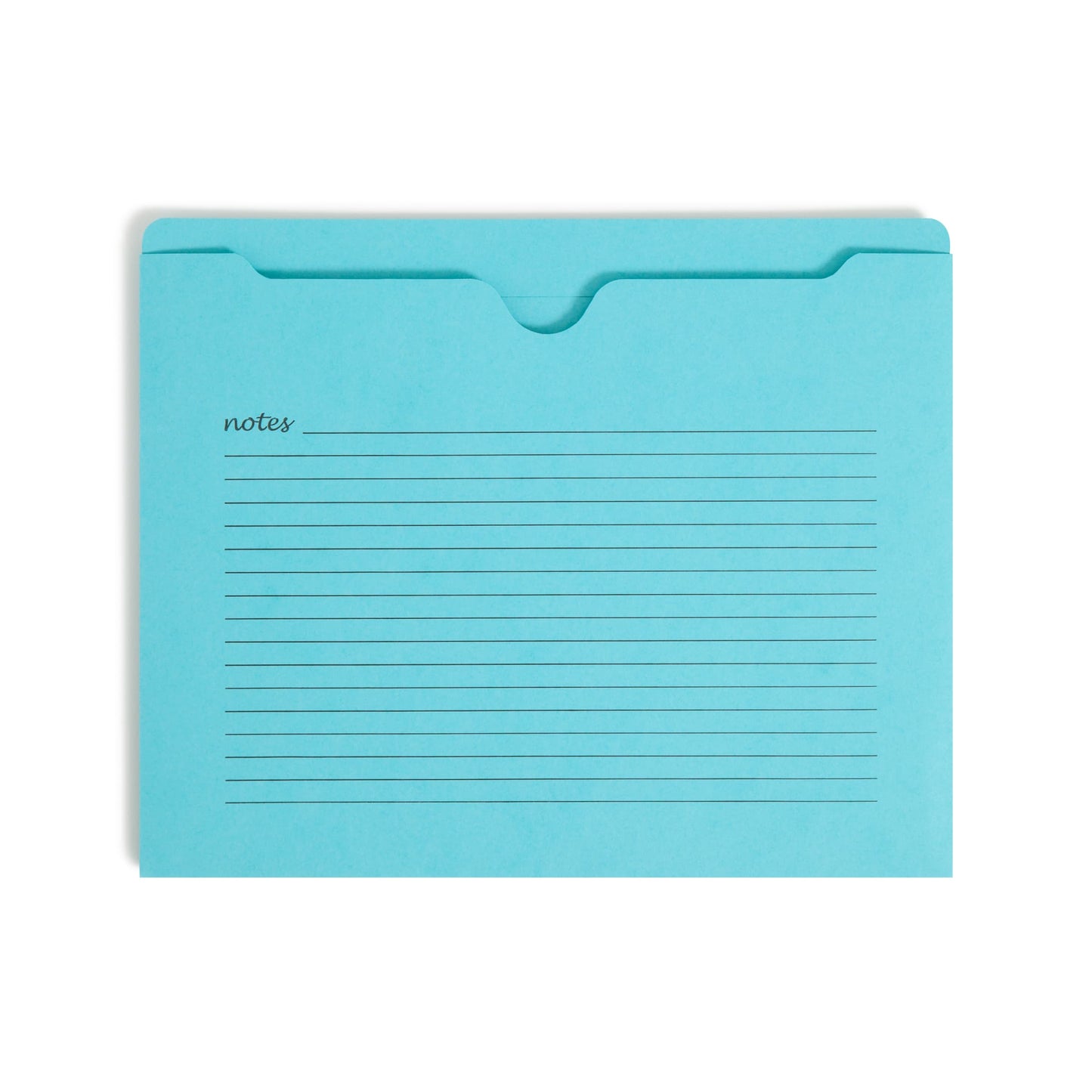 Notes File Jackets, Reinforced Straight-Cut Tab, Assorted Colors Color, Letter Size, Set of 12, 086486756167