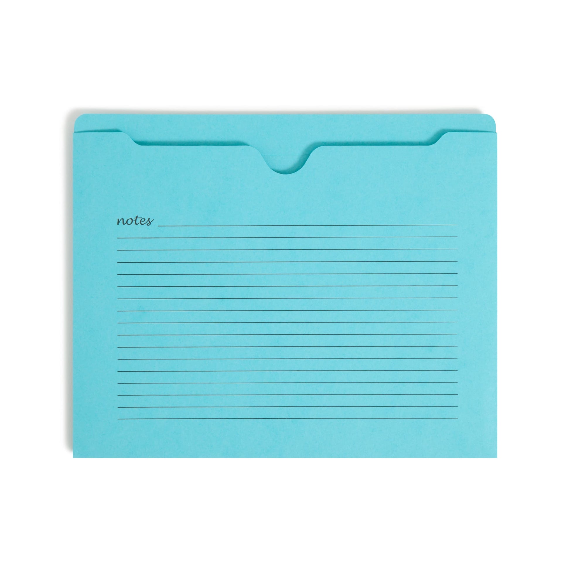 Notes File Jackets, Reinforced Straight-Cut Tab, Assorted Colors Color, Letter Size, Set of 12, 086486756167